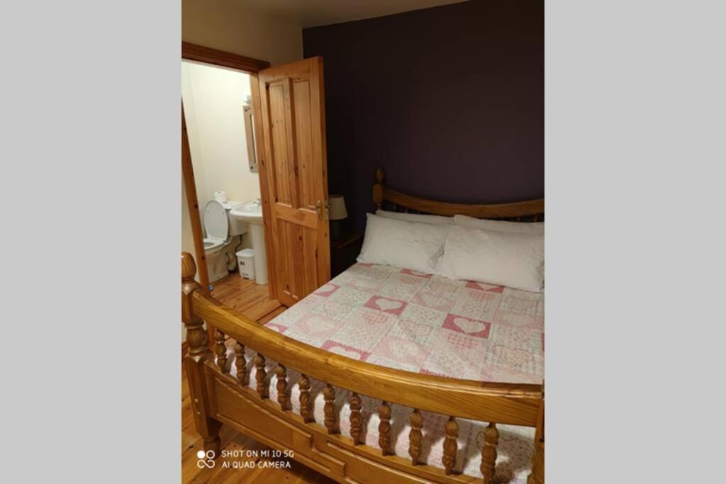 Townhouse 3 Barrow Lane Villa Bagenalstown Bagian luar foto